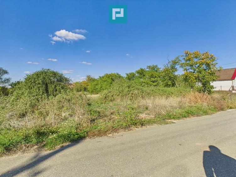 Teren intravilan 6115mp pentru investiții Firiteaz - 6