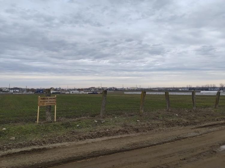 Teren de vanzare pentru case/ parcele- Caracal, str. Artarului - 4