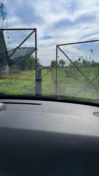 Teren intravilan 3000m²  in Comuna Cazasu  - 5