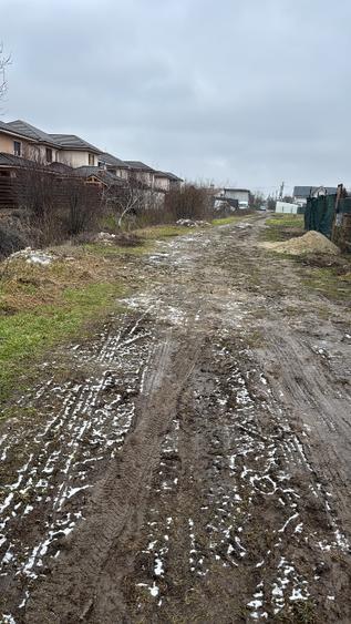 Loturi 500 mp Darza Buftea  - 2