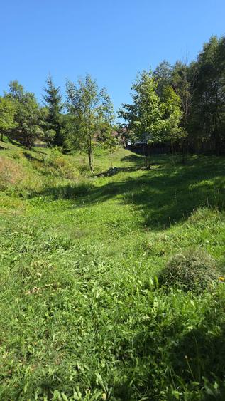 Teren intravilan - 1
