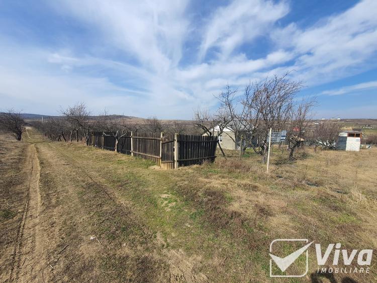 Teren 5300 mp Intravilan in Goruni – Tomesti - 10