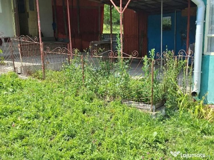 De vanzare casa teren 6000mp sat Tioltiur com. Cornesti jud. Cluj - 8