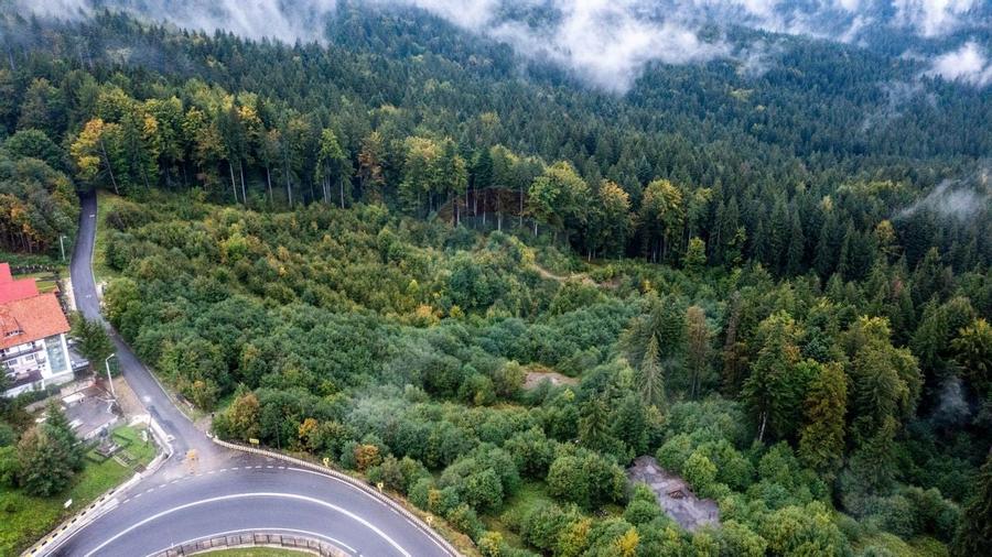 Oferta-vanzare teren intravilan 3,969mp Predeal-Strada Mihail Saulescu - 9