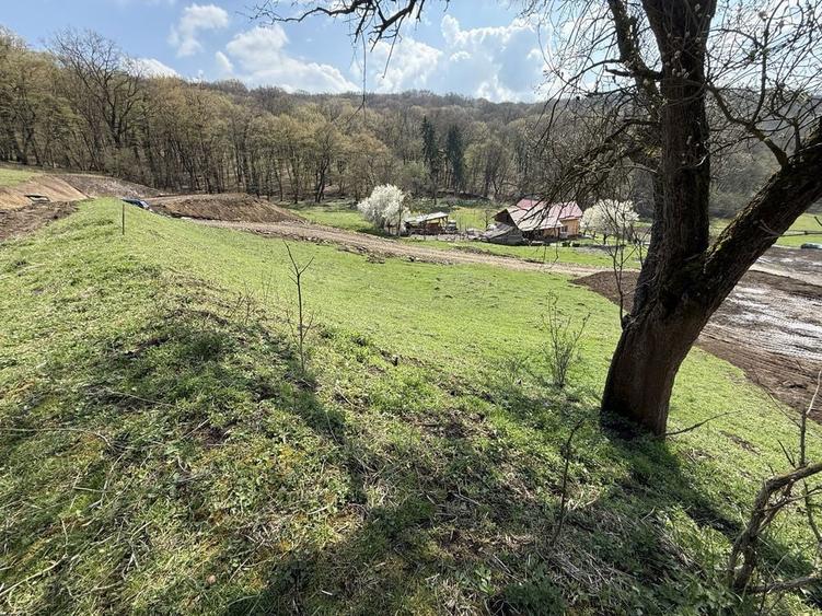 Vand teren Angarul de Jos, intravilan, pretabil constructie imediata - 7