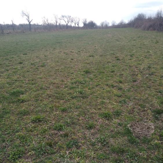 Casa cu teren 7400 mp de vanzare. - 5