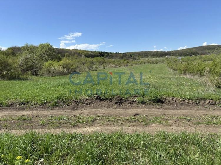 Teren intravilan 2200mp, Front 16m, sat. Padureni, Chinteni - 6