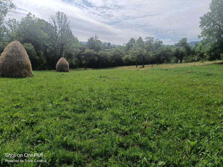 Casă cu 3 camere în Breb