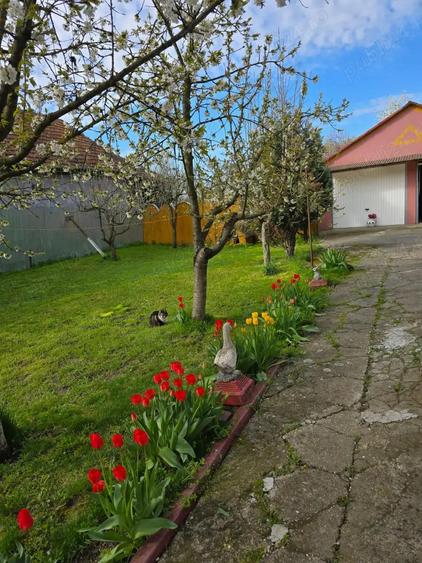 Casa individuala 4 camere si garaj in Pischia amenajata mobilata utilata pozitie excelenta - 9