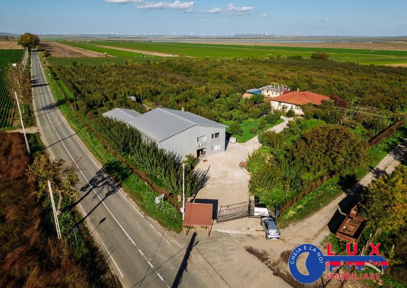 ID 7785 LIVADA SABANGIA DE VANZARE - 5