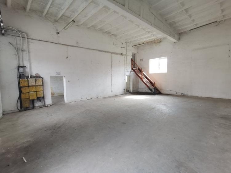 Iosefin Depozit 175 mp 875 euro +TVA - 5