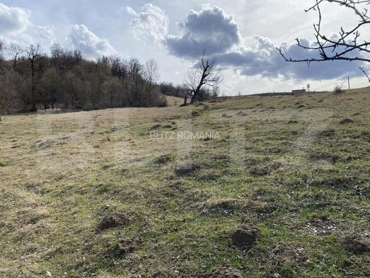 Teren extravilan in suprafata de 7500 mp la poalele Mesesului