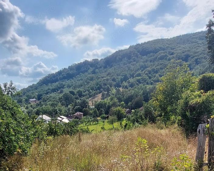 Teren de 1000 mp, în Bunești (Mălureni)