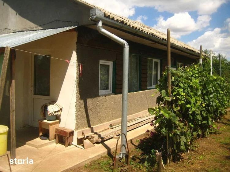 Casă cu 3 camere cu Teren 2100 Mp în Livedea