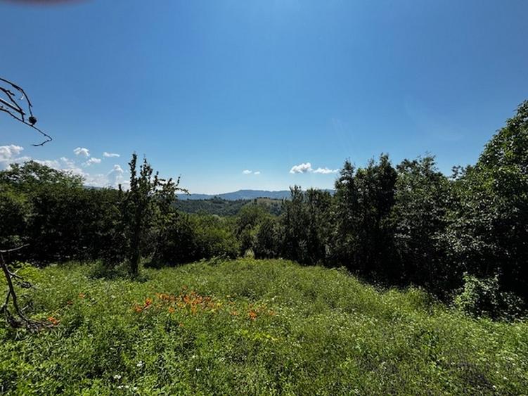 Teren extravilan de 3100 mp, în Dăești