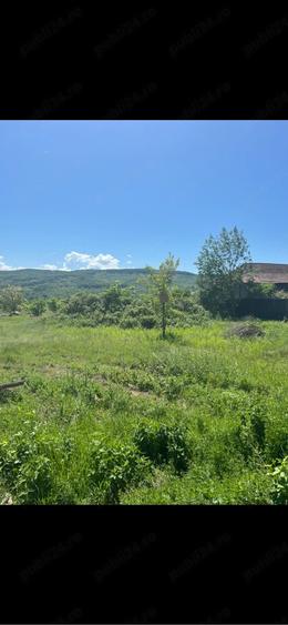 Teren de 4760 mp, în Șerbăneasa
