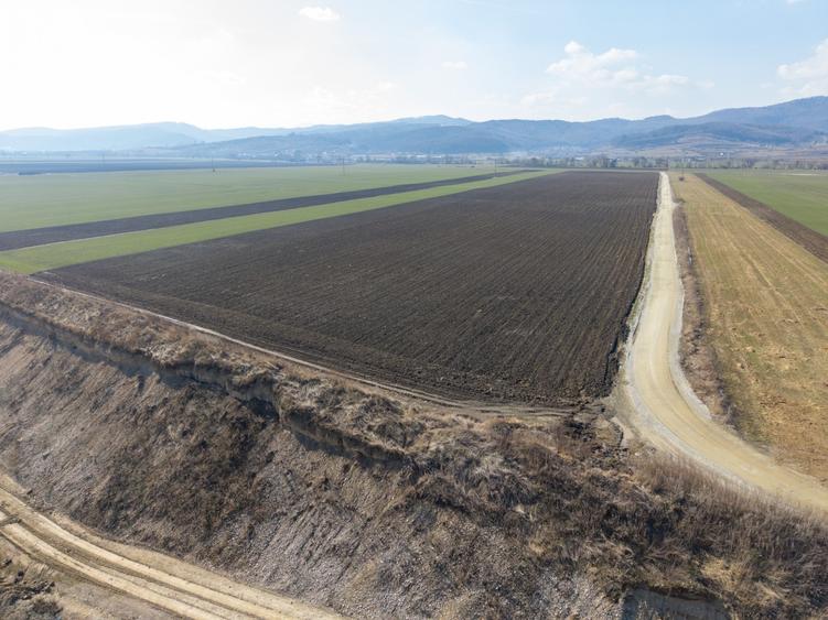 Teren agricol extravilan de 19239 mp, în Vulcan