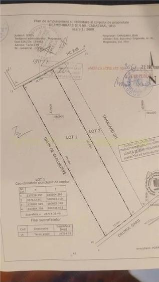 Mogosoaia, teren 27000 mp - 2