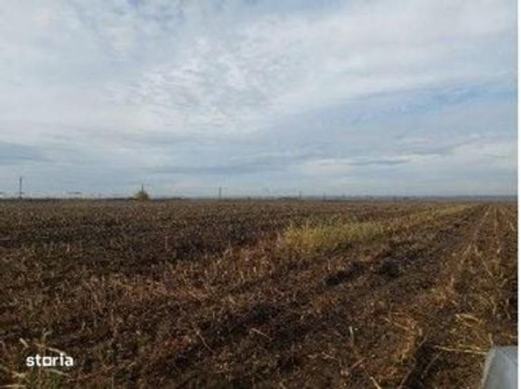 Teren extravilan Lunca Banului, ID: R2944332 - 10