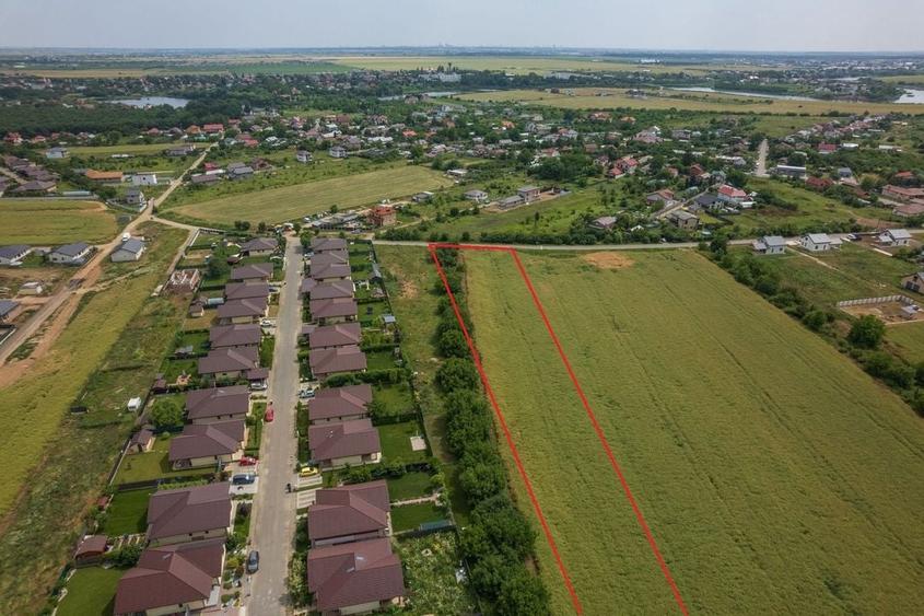Teren intravilan, Balotești, Strada Cameliei 36, 10.000 mp - 7