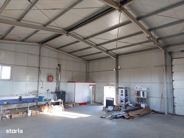 Hala 172 mp + teren 968 mp - 6