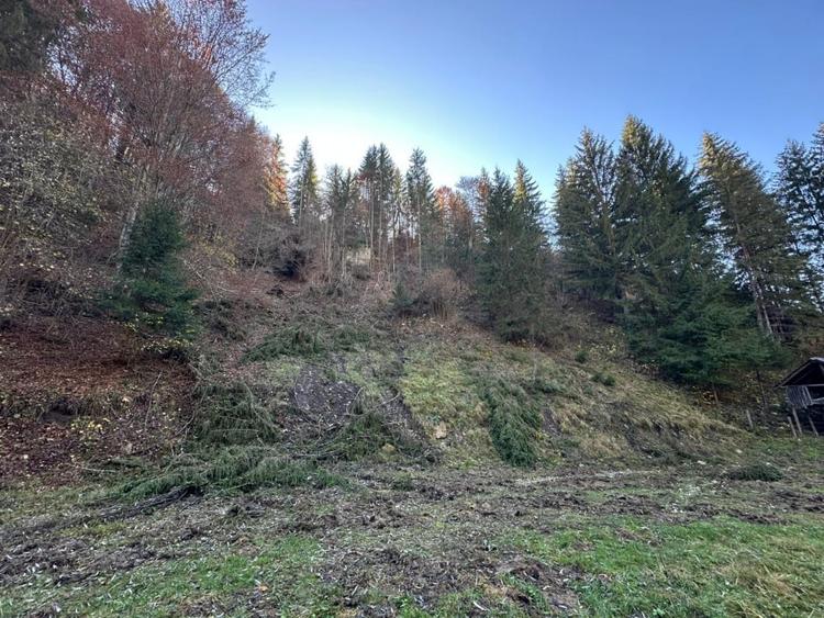Teren 2.882 mp – oportunitate investitie - Cheile Dambovicioarei - 6