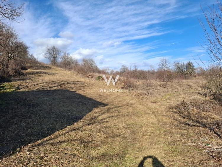 Teren intravilan constructii situat in Cisnadie - Sibiu - 1