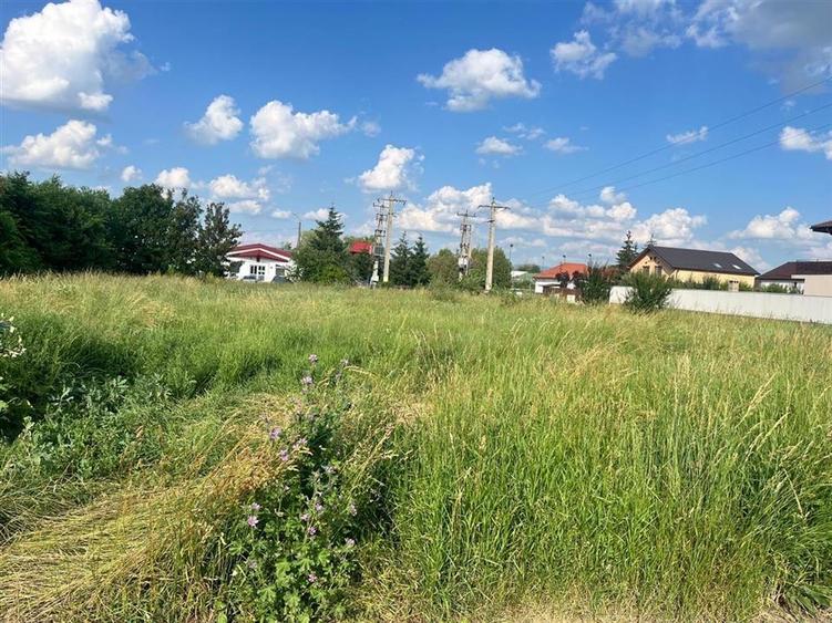 TEREN INTRAVILAN, 1000 mp, HARMAN - 1