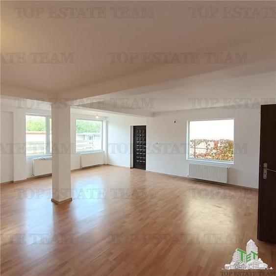 Casa individuala de vanzare  / potrivita si pentru business in zona parcului din - 2