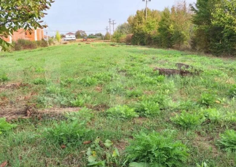 Teren Intravilan, sat Martinesti comuna Odoreu - 1