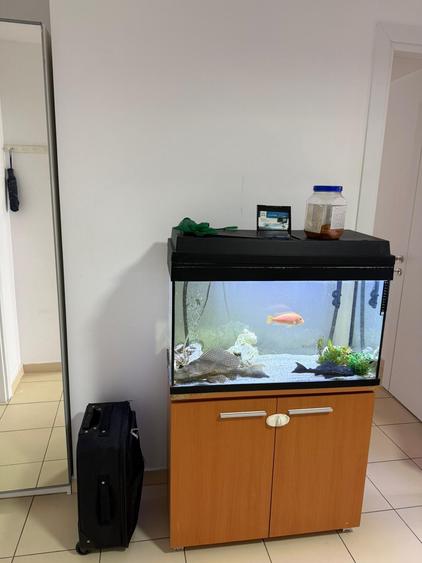 Tineretului Unirii SPLAI,ASMITA GARDENS DECOMANDAT centrala, loc parcare,MERITA! - 2