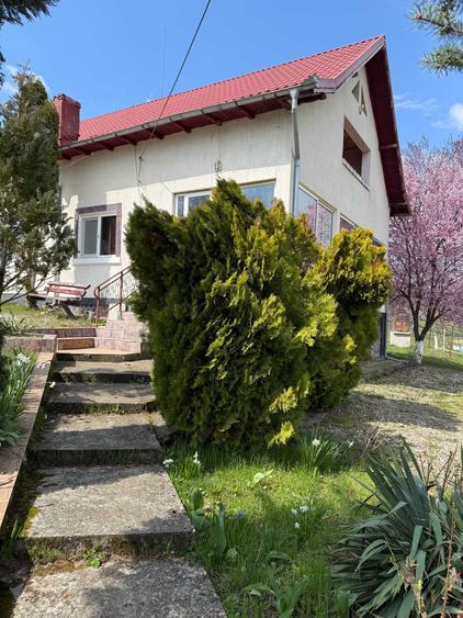 Casa de vanzare (4 camere, 2 terase, o anexa, suprafata construita 200mp) in Bohari, Comuna Malureni - Arges - 6