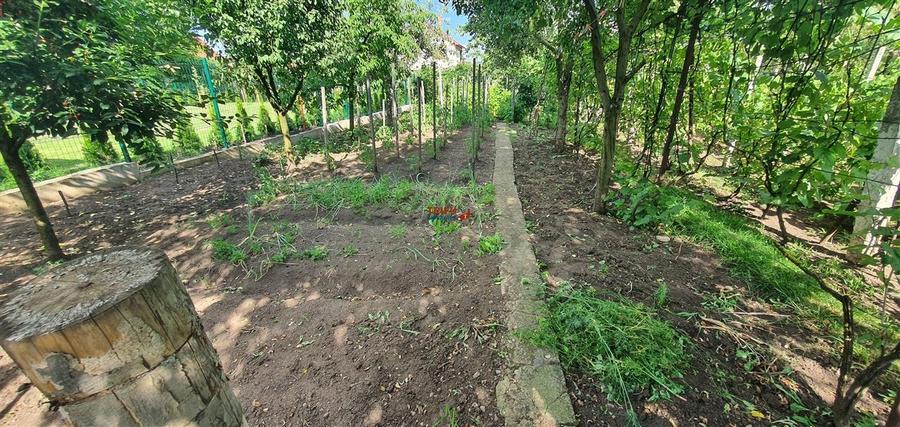 Casa cu etaj,S+P+E 791mp teren Zona Schit - 27