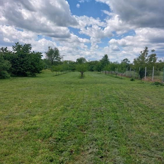 Teren intravilan - 4