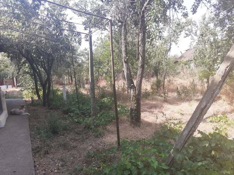 Casa ?i teren de vanzare - 3