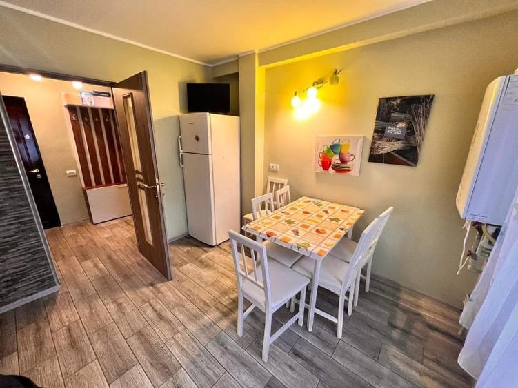 Închiriez apartament 2 camere decomandat lângă parcul Carrefour Brătianu - 10