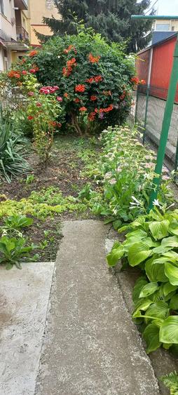 Vand apartament 2 camere Tg.Ocna - 8