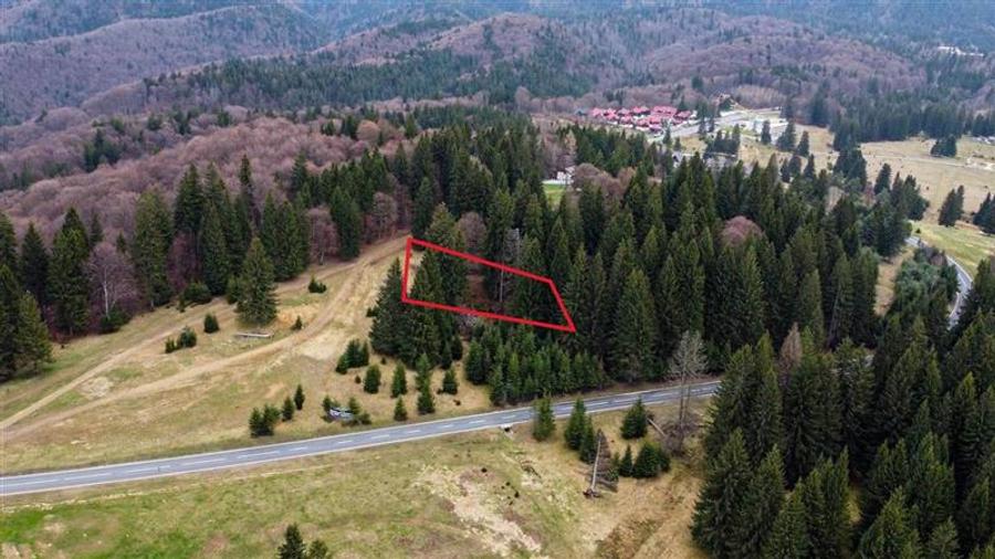 Teren cu potential:1.000 mp,proiect turistic/rezidential,Poiana Brasov - 10