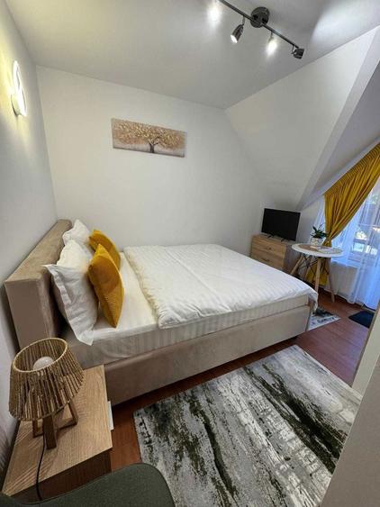 Vand Vila - Brasov- Dambu Morii -Turism sau locuinta - 7