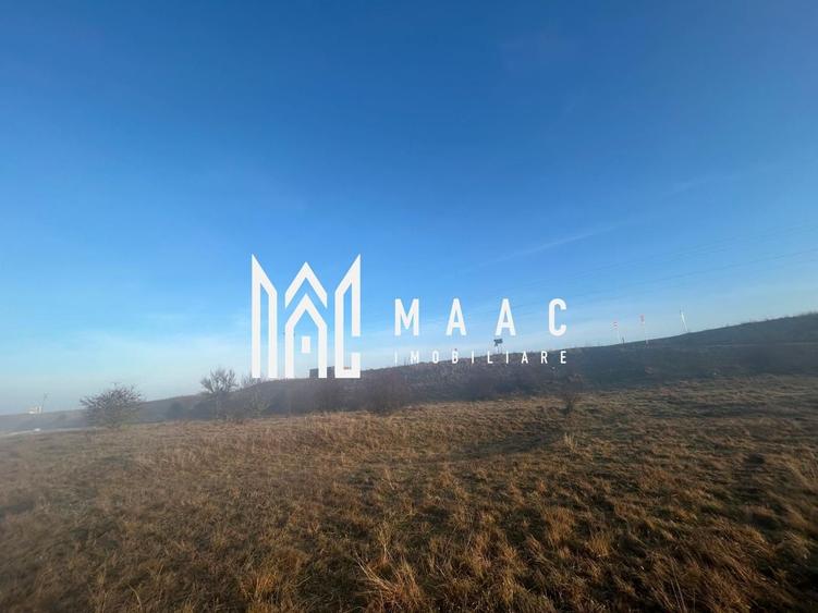 Teren cu potențial turistic I Valea Avrigului I 2900 MP - 5