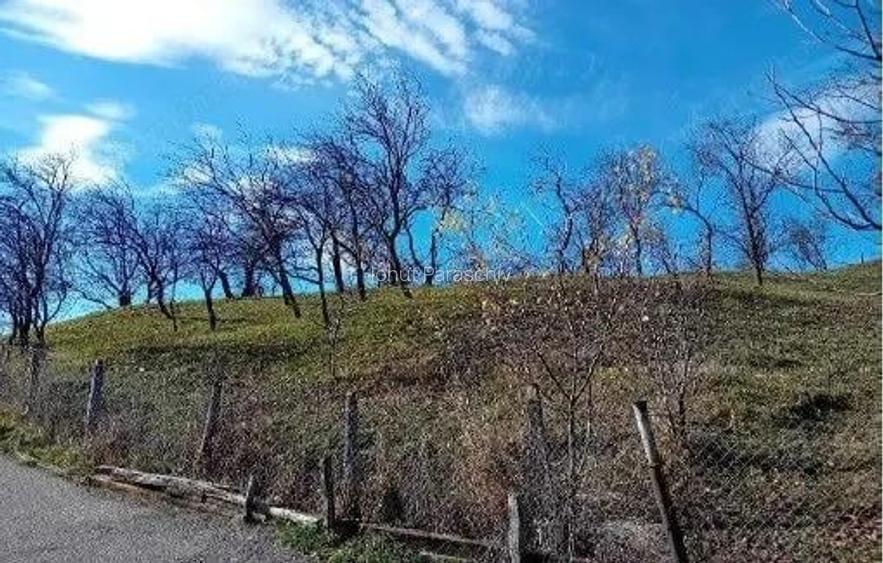 Teren cota parte 1/2, Sat Vistieru, ID: R2809860