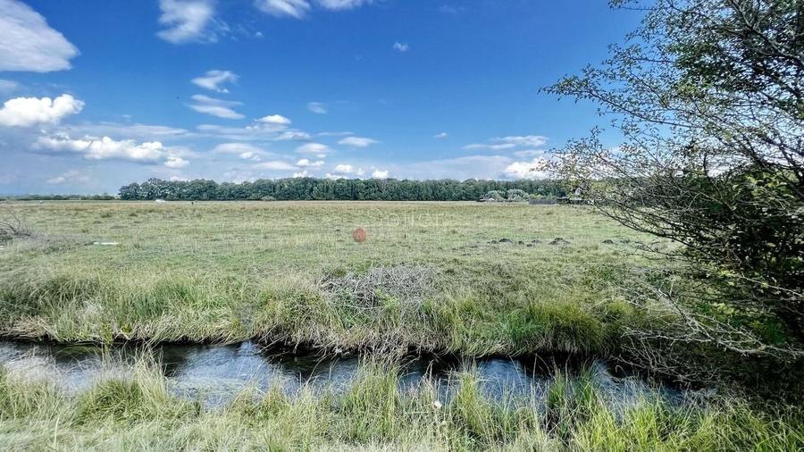 Teren Extravilan - 9