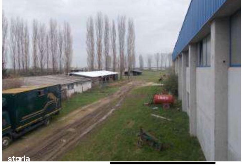 HUB Logistic intermodal 9,1 ha acces direct la DN 59/E70 JEBEL ,Timis - 7