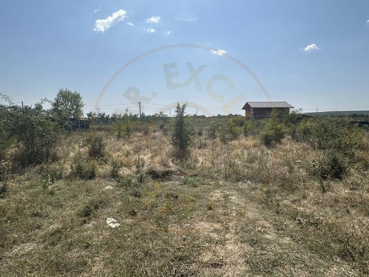 Teren Intravilan Magic Trivale - Aleea Bradului  1040 mp - 1