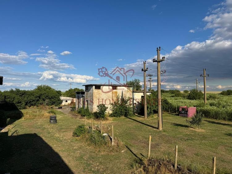 Spațiu industrial, de 16,000 mp, în Orțișoara