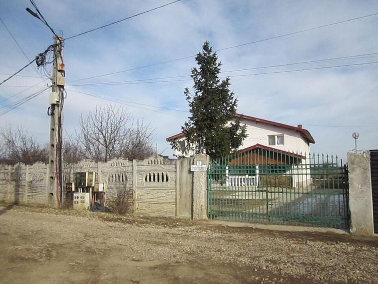 Domnesti-Teghes-Padure - 8