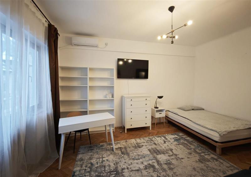 Garsoniera Cismigiu - 9