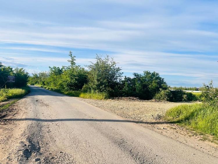 TEREN INTRAVILAN |  1000 mp | CORBEANCA | TAMASI | PADURE | - 2