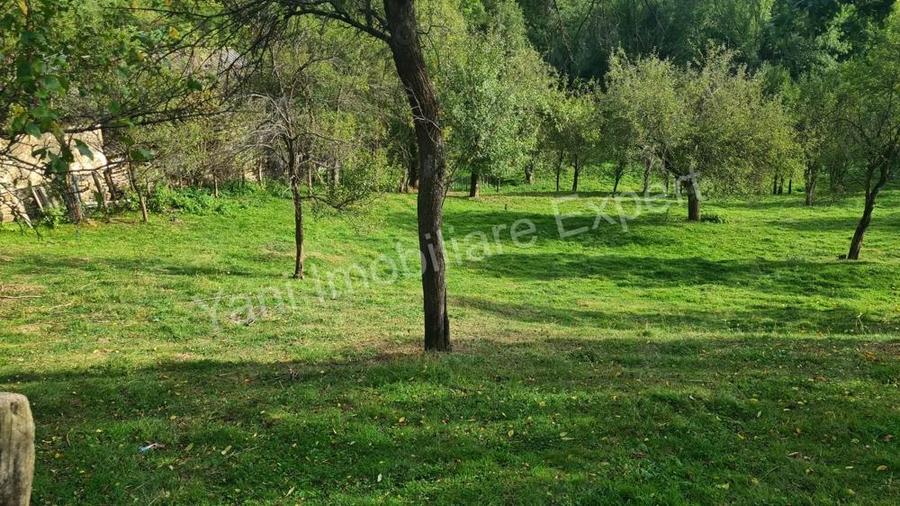 Teren de vanzare in comuna Arefu, sat Arefu, jude? Arge?. - 8