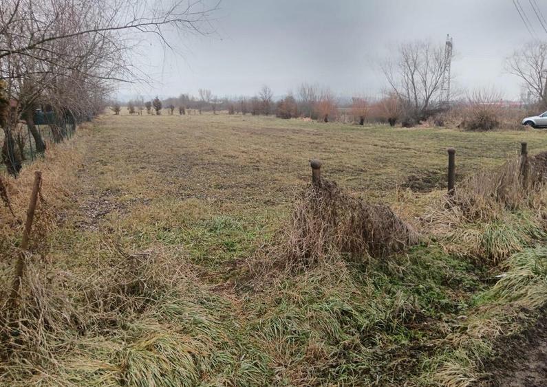 Culcea, 35 ari teren - 1